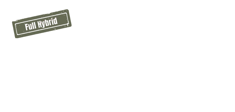 /media/angebot_uebersicht/stoerer_full_hybrid_links_oben_dacia.png