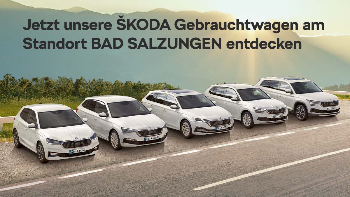 Gebrauchtwagen Skoda Bad Salzungen